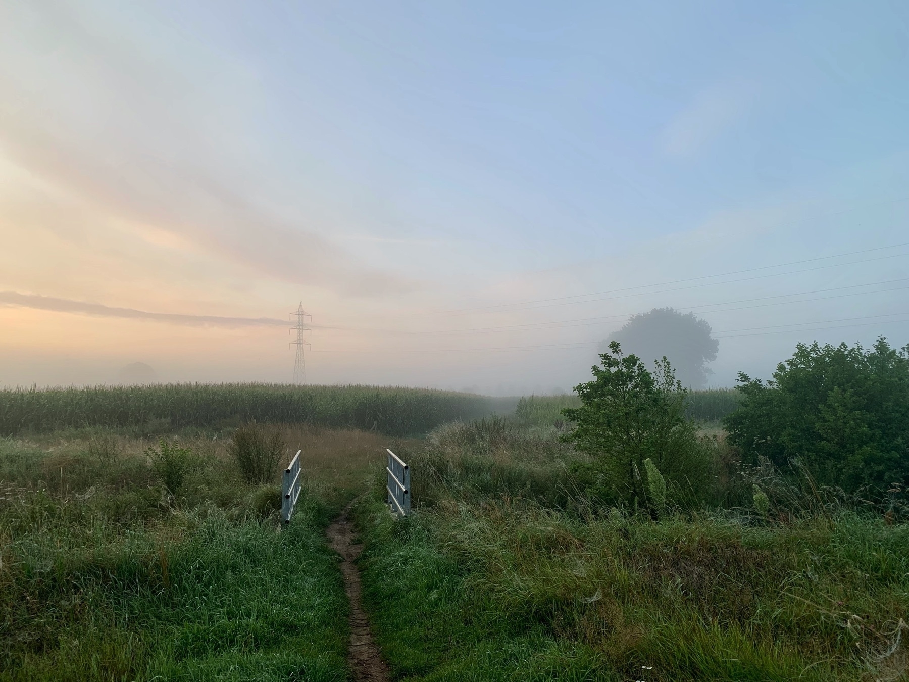 Path through field at sunrise
