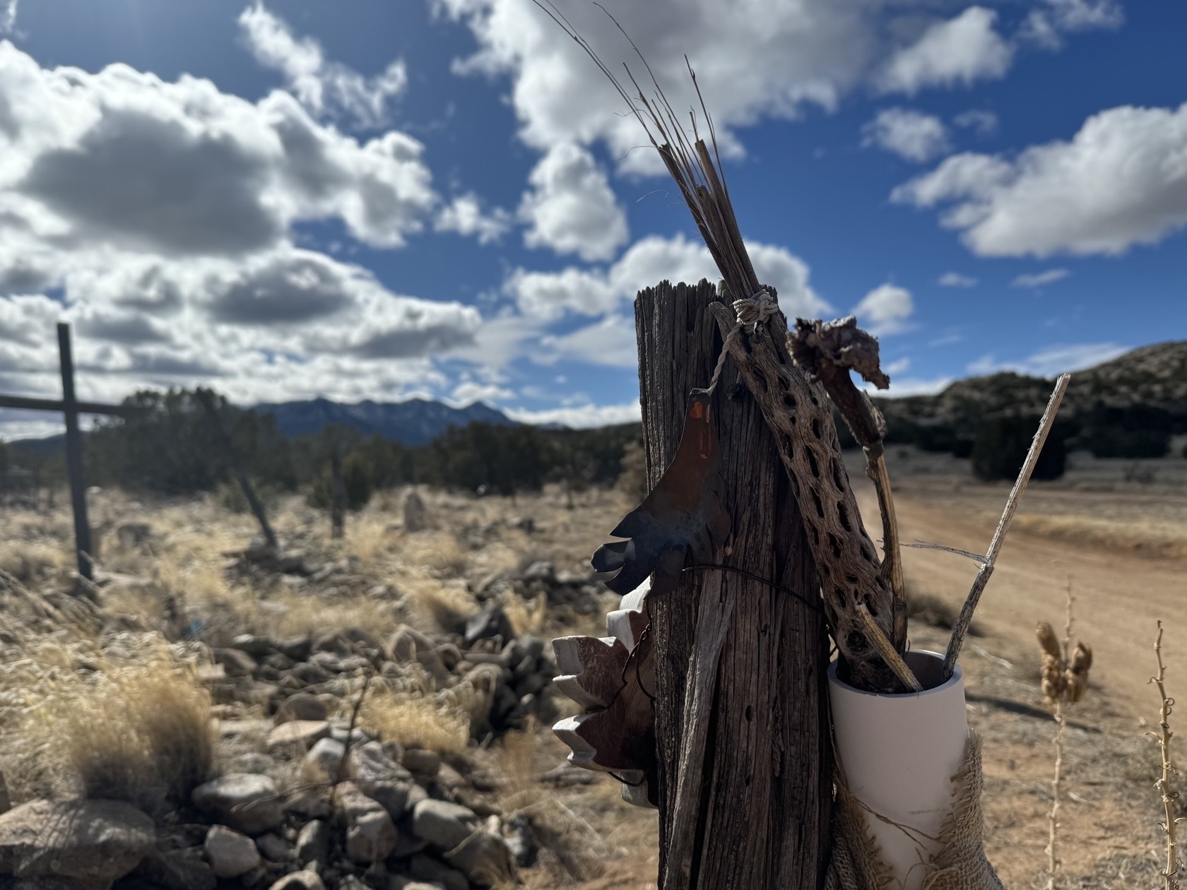 Closeup of a collection of items including dried cholla cactus and a tin bird hanging from a fence post with graves in the background